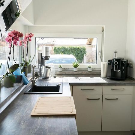 Villa Preisendanz 灵斯海姆 外观 照片