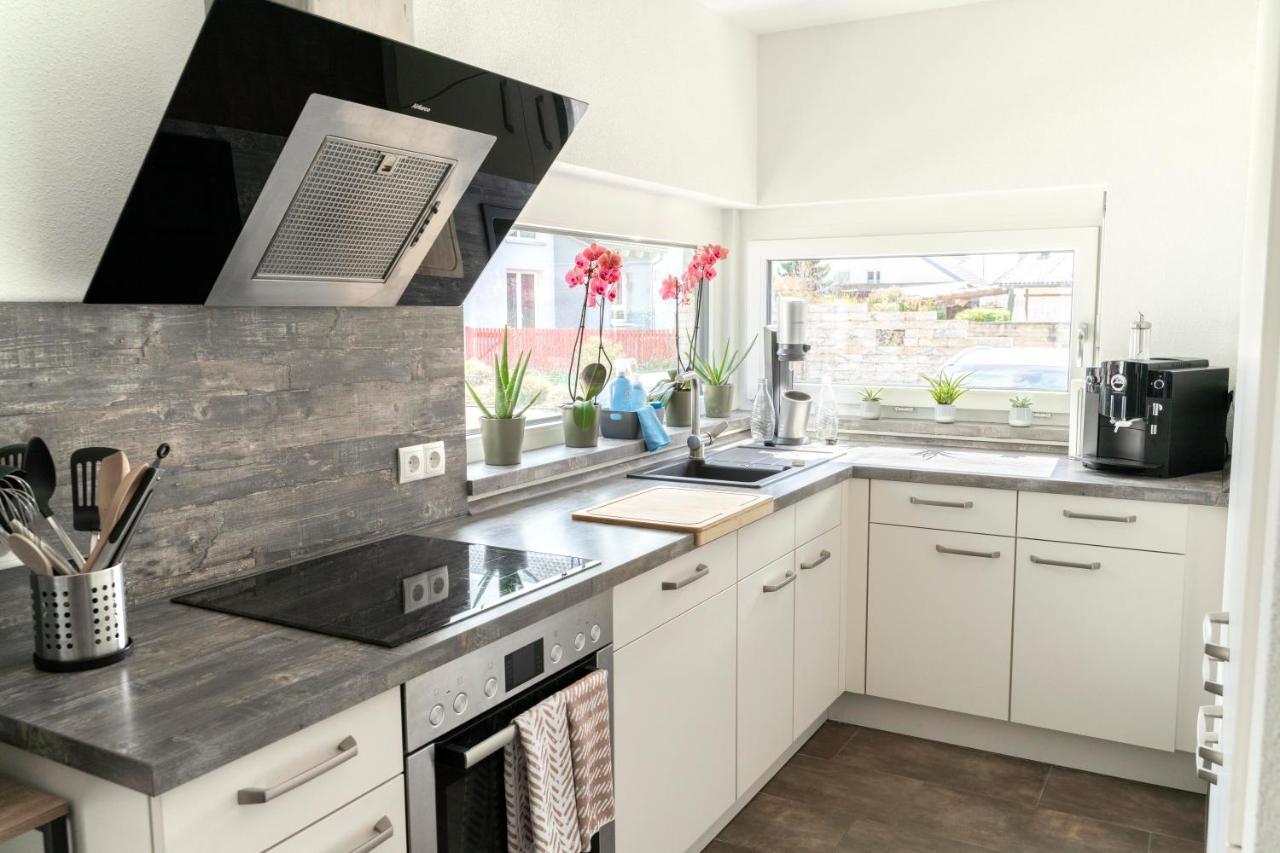 Villa Preisendanz 灵斯海姆 外观 照片