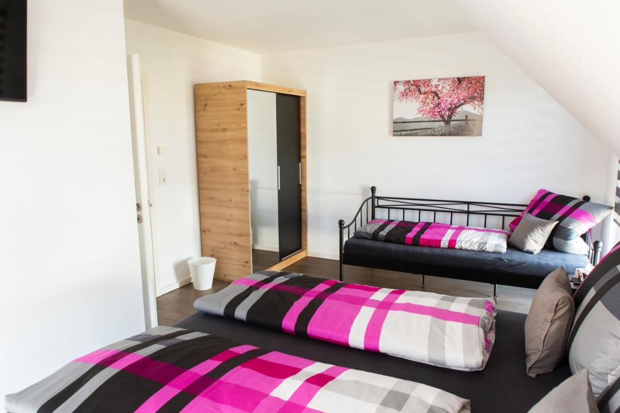 Villa Preisendanz 灵斯海姆 外观 照片
