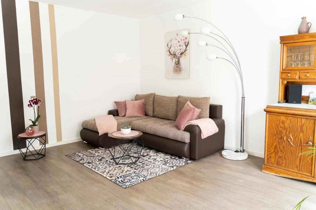 Villa Preisendanz 灵斯海姆 外观 照片