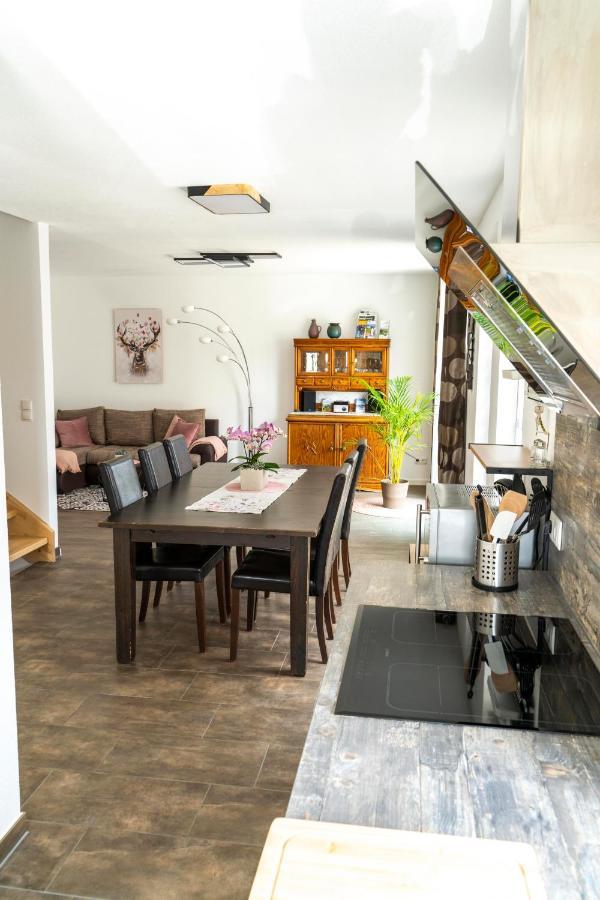 Villa Preisendanz 灵斯海姆 外观 照片