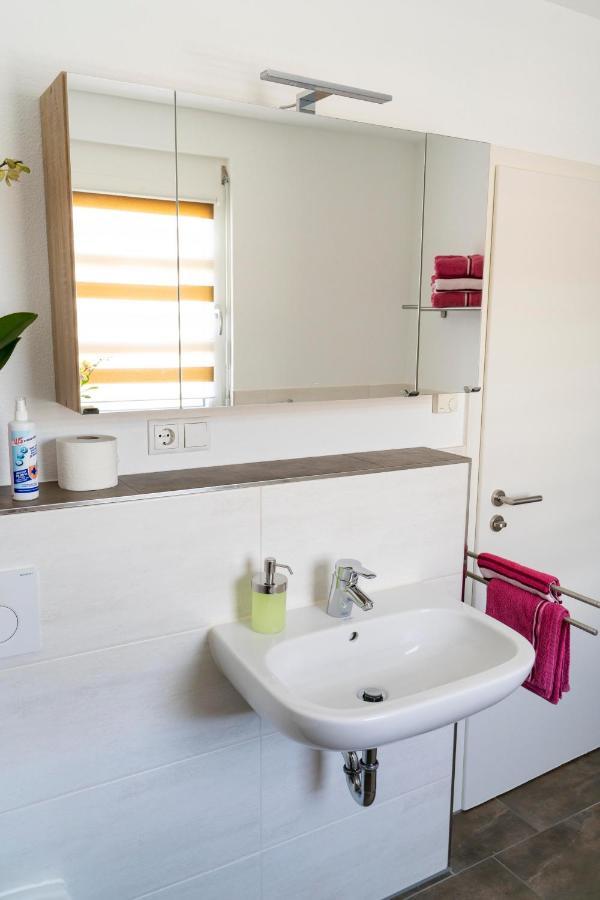 Villa Preisendanz 灵斯海姆 外观 照片
