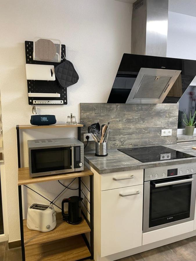Villa Preisendanz 灵斯海姆 外观 照片