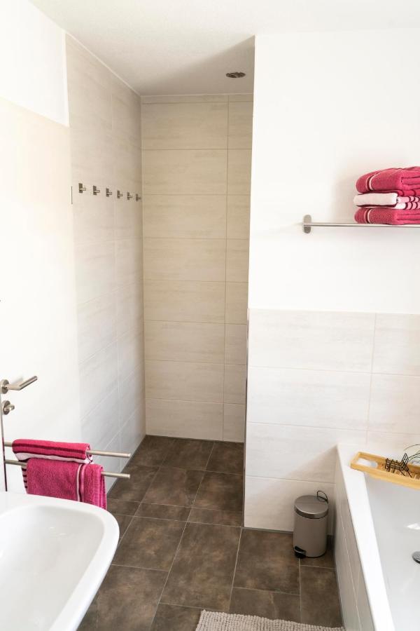 Villa Preisendanz 灵斯海姆 外观 照片