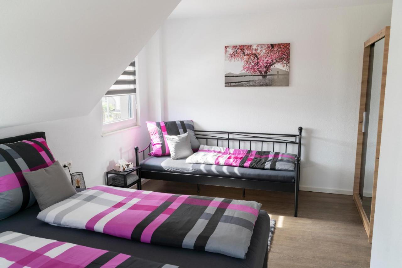 Villa Preisendanz 灵斯海姆 外观 照片